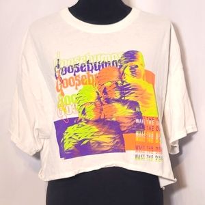 Goosebumps Mummy Graphic Crop Tee Size XL